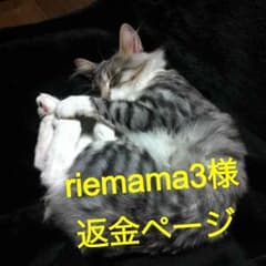 riemama3様用返金ページのサムネイル