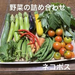 野菜の詰め合わせのサムネイル