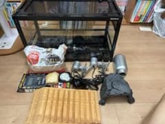 パンテオンBK6035 フトアゴヒゲトカゲ飼育セット パンテオンBK6035 フトアゴヒゲトカゲ飼育セット - メルカリ