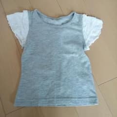 Ｔシャツのサムネイル