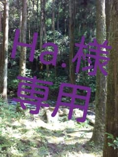 専用ですのサムネイル