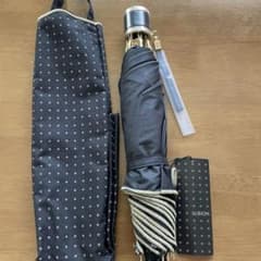 日傘のサムネイル