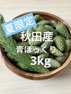 秋田産青ぼっくり3kg - メルカリ