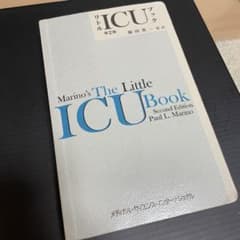 リトルICUブックのサムネイル