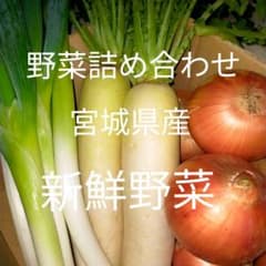 野菜詰め合わせ　大根　ネギ　玉ねぎのサムネイル