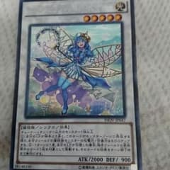 アロマセラフィーローズマリーのサムネイル