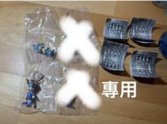 디지몬 어드벤처 메지루시 액세서리 2 야가미 타이치 타케유키 내공