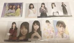乃木坂46 阪口珠美 まとめ売りのサムネイル