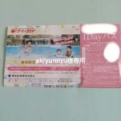 東京サマーランド 株主優待 1Dayパス 一枚
よろしくお願いいたします。のサムネイル