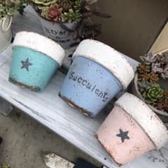 リメイク鉢★3個セットで送料込み！多肉植物などに(°´˘`°)/のサムネイル