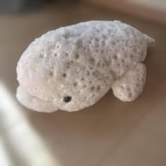 【限定】横浜八景島シーパラダイス　シロイルカ　ぬいぐるみ シルバー星柄 ホワイト