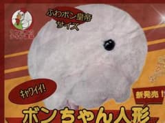 ムハムパンパン　リンバスカンパニー　ボンちゃん人形　箱付き(箱傷あり) リンバスカンパニー ハムハムパンパン ボンちゃん人形 - メルカリ