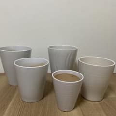 Ceramic orchid pots, 5 white pots.