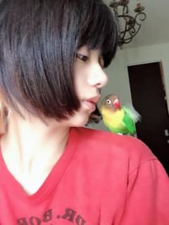 ヅメさん専用のサムネイル