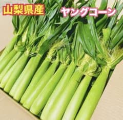 k165ハウス葉付 ヤングコーン 山梨県産 13〜15本 ベビーコーン 朝どり