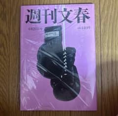 週刊文春 4月28日号 片寄涼太特集ページありのサムネイル