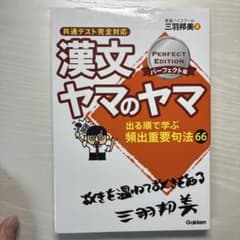 漢文ヤマのヤマ　パーフェクト版　東進　三羽邦美 書き込みなしのサムネイル