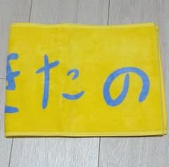 元乃木坂46　北野日奈子　46時間TV推しタオルのサムネイル