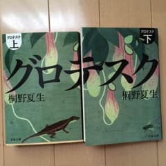 桐野夏生『グロテスク』上下セット❤️のサムネイル
