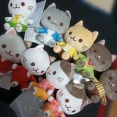 SEVENTEEN ミニぬいぐるみ jun ジュン 猫 まとめ売り - メルカリ
