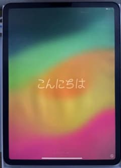 ジャンク】Apple iPad 本体 スペースグレイ 11インチ第1世代 - メルカリ