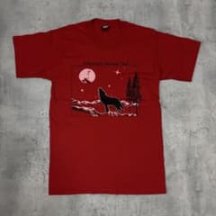 USA製 SCREEN STARS 90s シングルステッチ Tシャツ - メルカリ