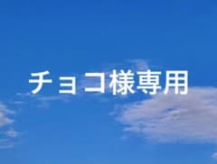 チョコ様専用のサムネイル