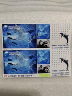 新江ノ島水族館 ご招待券 4枚　2025年3月31日までのサムネイル