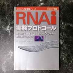 RNAi実験プロトコール 羊土社のサムネイル