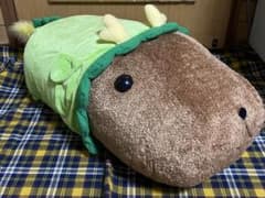 카피바라씨 카피바라 간지 봉제인형 대등신대