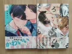 夢ならどこまで許されますか?/とろけるくちびるのサムネイル