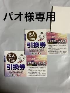 イオックスアローザ　大人一日券2枚のサムネイル