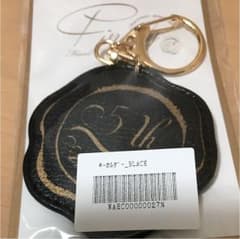 安室奈美恵 キーホルダー 未使用のサムネイル
