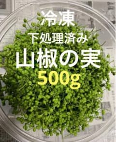 山椒の実　下処理済み　冷凍　500g 山椒の実 下処理済み 500g (冷凍) - メルカリ