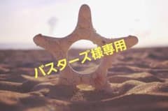 【バスターズ様専用】PORTER ポーター ボディバッグのサムネイル