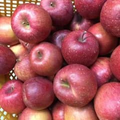 サンふじ 食べ切りサイズ ５kgのサムネイル