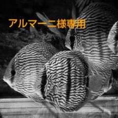 police  ネックレスのサムネイル