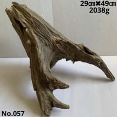 専用品 大型流木 アク抜き済み アク抜き済み流木 No.057 置き方いろいろ - メルカリ