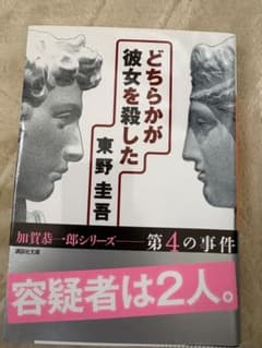 どちらかが彼女を殺した 東野圭吾のサムネイル