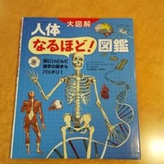 人体なるほど!図鑑 謎にいどんだ医学の歴史もバッチリ!のサムネイル