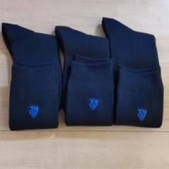 聖カタリナソックスのサムネイル