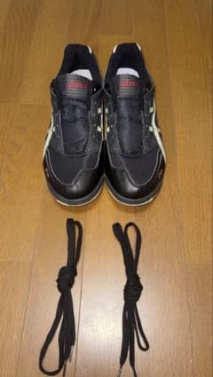 ASICS インドアシューズ 27.5cm 替え紐付き 美品のサムネイル