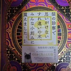 猫の診察で思いがけないすれ違いの末、みんな小刻みに震えましたのサムネイル