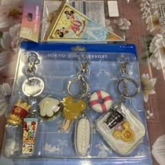 東京ディズニーリゾート キーホルダーセットのサムネイル