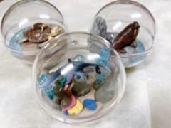 海遊館ガチャのサムネイル