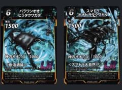 パラワンオオヒラタクワガタ スマトラオオヒラタクワガタ セット売り