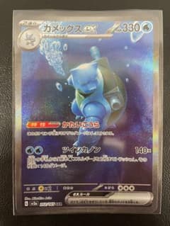 kncard77-3805 カメックス　202/165 SAR kncard77-3805 カメックス 202/165 SAR - メルカリ