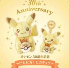 ポケモンセンター　30周年記念 ピカチュウ ぬいぐるみセット　誕生日限定ボックスのサムネイル