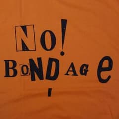 日曜迄の限定値下げ THE SWANKYS Tシャツ スワンキーズのサムネイル