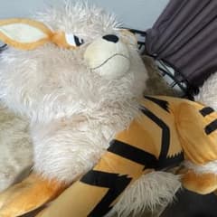 m65960063161_1.jpg?1741222999